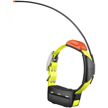 Ошейник GARMIN T5 COLLAR RUS